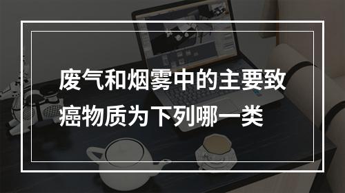 废气和烟雾中的主要致癌物质为下列哪一类