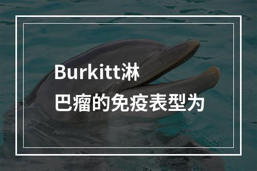 Burkitt淋巴瘤的免疫表型为