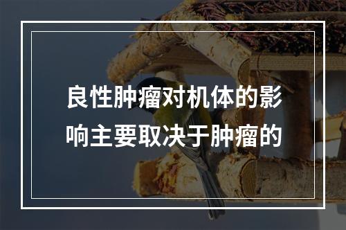 良性肿瘤对机体的影响主要取决于肿瘤的