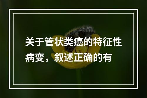 关于管状类癌的特征性病变，叙述正确的有