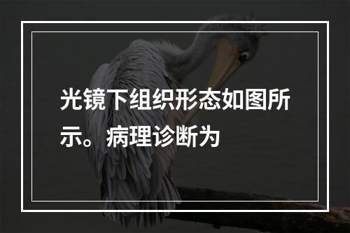 光镜下组织形态如图所示。病理诊断为　　