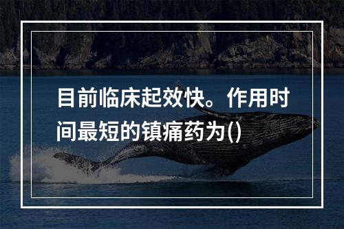 目前临床起效快。作用时间最短的镇痛药为()