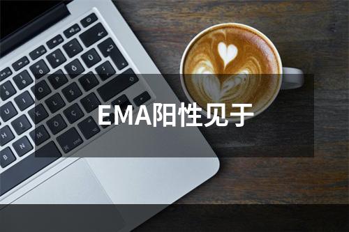 EMA阳性见于