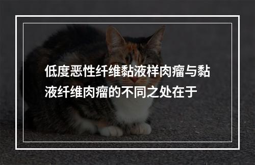 低度恶性纤维黏液样肉瘤与黏液纤维肉瘤的不同之处在于