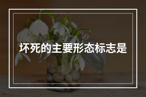 坏死的主要形态标志是