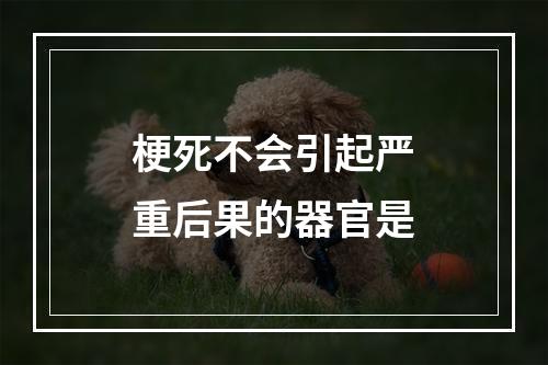 梗死不会引起严重后果的器官是