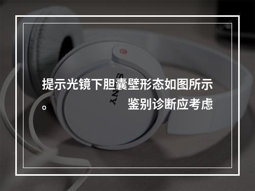 提示光镜下胆囊壁形态如图所示。　　　　　　鉴别诊断应考虑