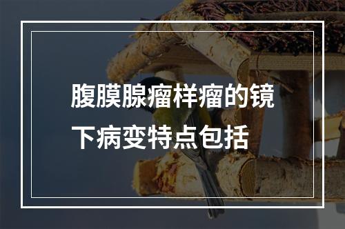 腹膜腺瘤样瘤的镜下病变特点包括