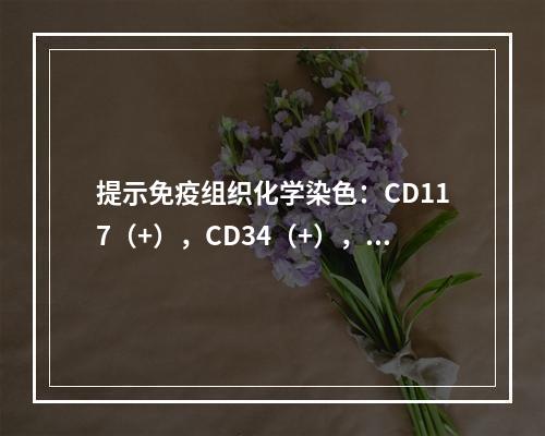 提示免疫组织化学染色：CD117（+），CD34（+），S-