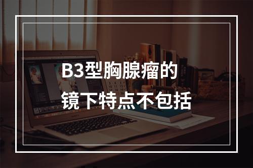 B3型胸腺瘤的镜下特点不包括