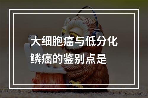 大细胞癌与低分化鳞癌的鉴别点是