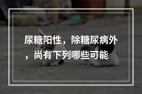 尿糖阳性，除糖尿病外，尚有下列哪些可能