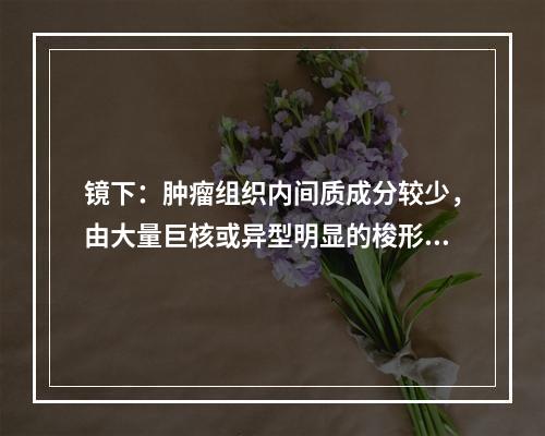 镜下：肿瘤组织内间质成分较少，由大量巨核或异型明显的梭形细胞