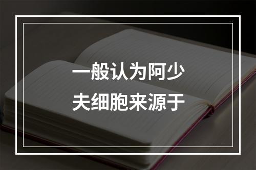 一般认为阿少夫细胞来源于