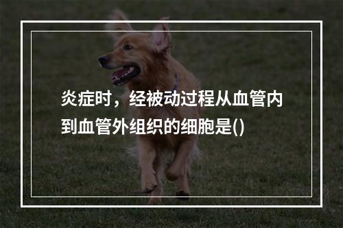 炎症时，经被动过程从血管内到血管外组织的细胞是()