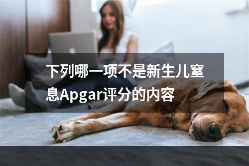 下列哪一项不是新生儿窒息Apgar评分的内容