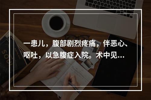 一患儿，腹部剧烈疼痛，伴恶心、呕吐，以急腹症入院。术中见肠套