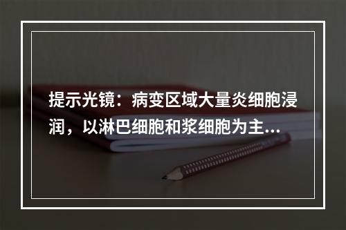 提示光镜：病变区域大量炎细胞浸润，以淋巴细胞和浆细胞为主，可