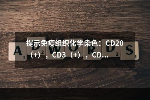 提示免疫组织化学染色：CD20（+），CD3（+），CD4（