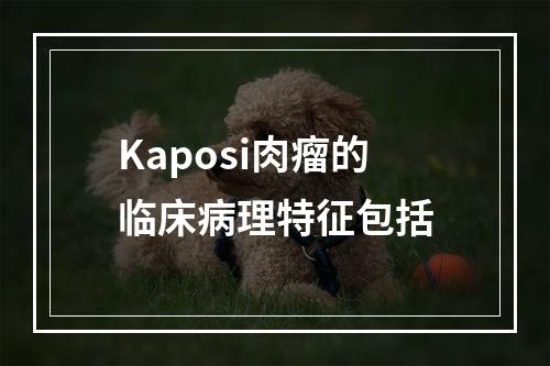 Kaposi肉瘤的临床病理特征包括