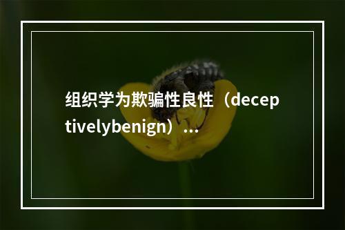 组织学为欺骗性良性（deceptivelybenign）的浸