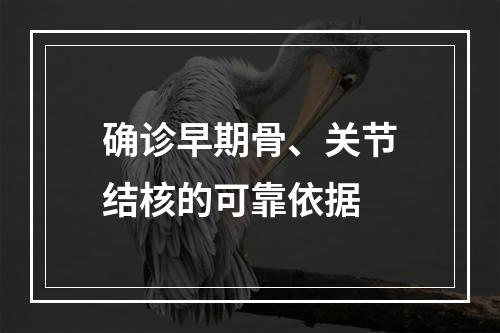 确诊早期骨、关节结核的可靠依据