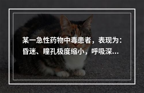 某一急性药物中毒患者，表现为：昏迷、瞳孔极度缩小，呼吸深度抑