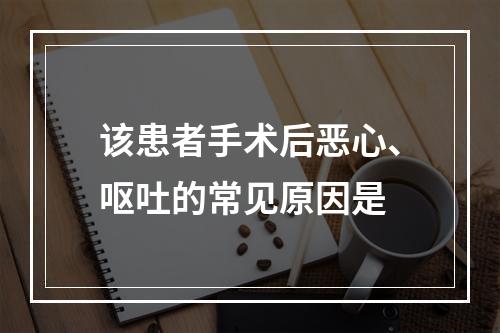 该患者手术后恶心、呕吐的常见原因是