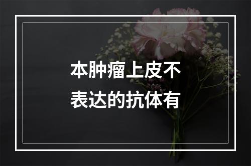 本肿瘤上皮不表达的抗体有