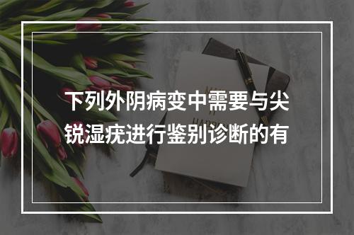 下列外阴病变中需要与尖锐湿疣进行鉴别诊断的有