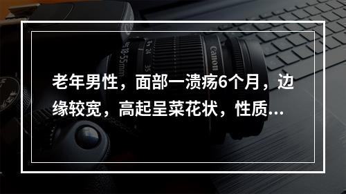 老年男性，面部一溃疡6个月，边缘较宽，高起呈菜花状，性质坚硬