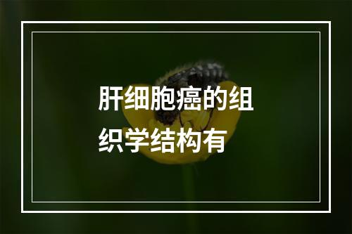 肝细胞癌的组织学结构有