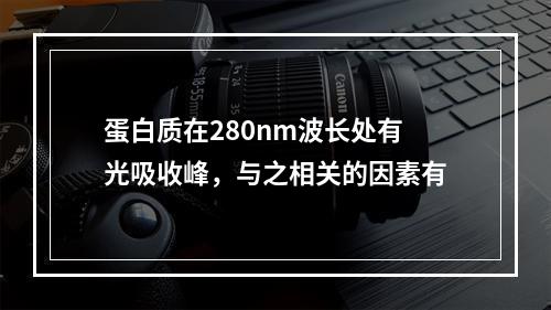 蛋白质在280nm波长处有光吸收峰，与之相关的因素有