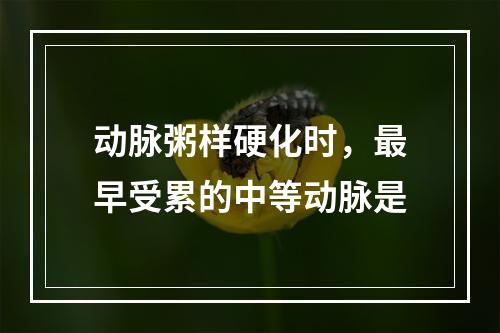 动脉粥样硬化时，最早受累的中等动脉是