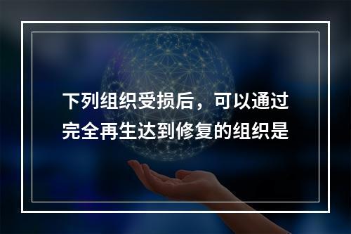 下列组织受损后，可以通过完全再生达到修复的组织是