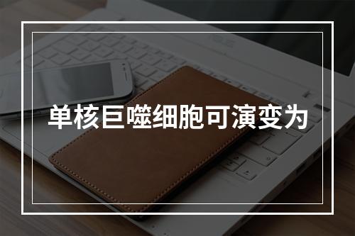 单核巨噬细胞可演变为