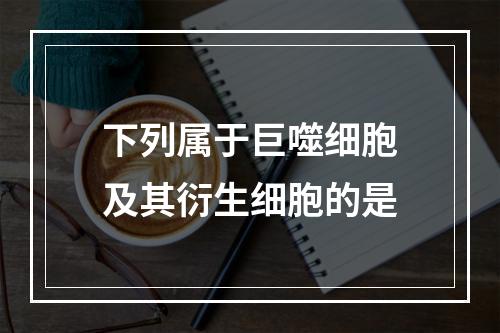 下列属于巨噬细胞及其衍生细胞的是