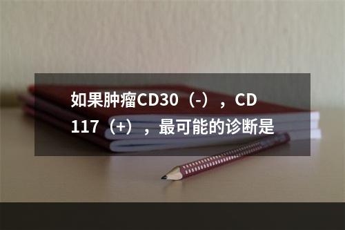 如果肿瘤CD30（-），CD117（+），最可能的诊断是