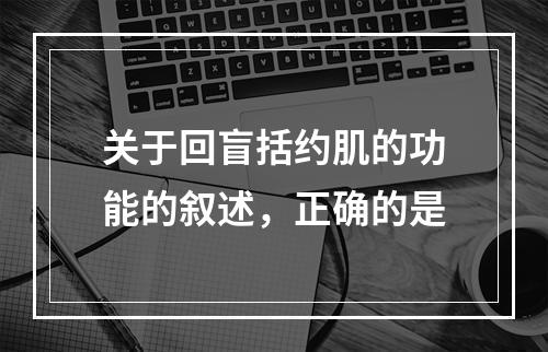 关于回盲括约肌的功能的叙述，正确的是