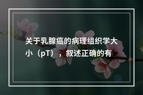 关于乳腺癌的病理组织学大小（pT），叙述正确的有