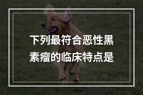 下列最符合恶性黑素瘤的临床特点是