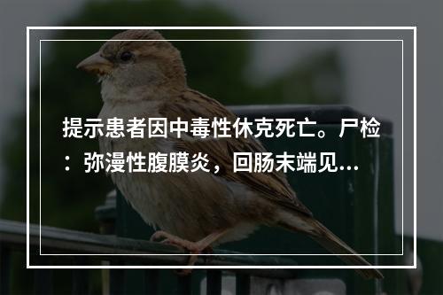 提示患者因中毒性休克死亡。尸检：弥漫性腹膜炎，回肠末端见一穿