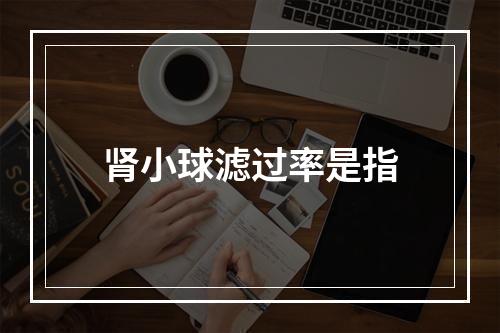 肾小球滤过率是指