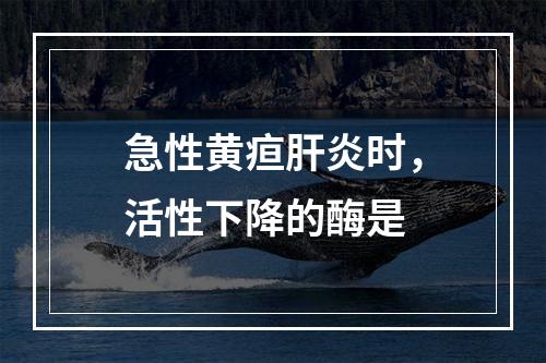 急性黄疸肝炎时，活性下降的酶是