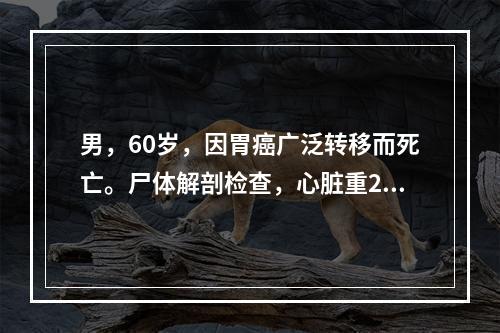 男，60岁，因胃癌广泛转移而死亡。尸体解剖检查，心脏重200