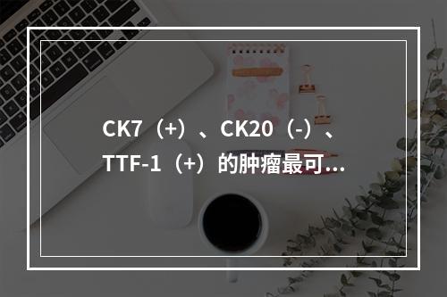 CK7（+）、CK20（-）、TTF-1（+）的肿瘤最可能是