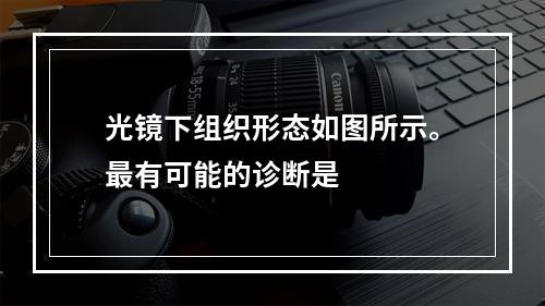 光镜下组织形态如图所示。最有可能的诊断是　　　　