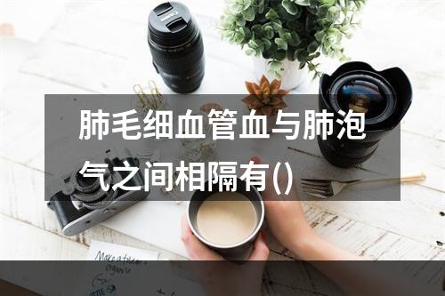 肺毛细血管血与肺泡气之间相隔有()