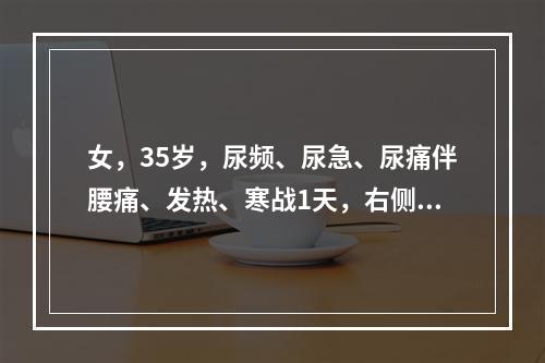 女，35岁，尿频、尿急、尿痛伴腰痛、发热、寒战1天，右侧肾区