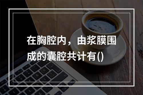 在胸腔内，由浆膜围成的囊腔共计有()